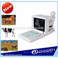 portable cow ultrasound scanner&pregnancy scanner ultrasound DW360